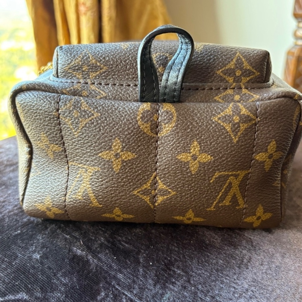Louis Vuitton Palm Springs Mini - Picture 2 of 16